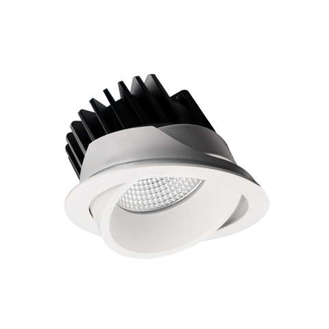 EQ Tilt Downlight