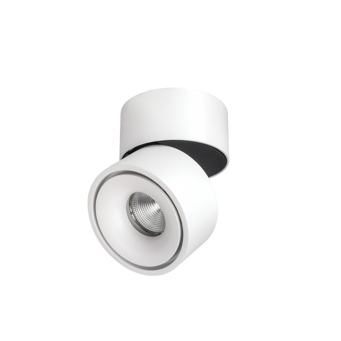 Kinetic Surface Mounted Downlight