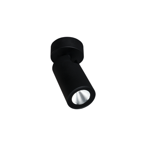 Onyx Spotlight