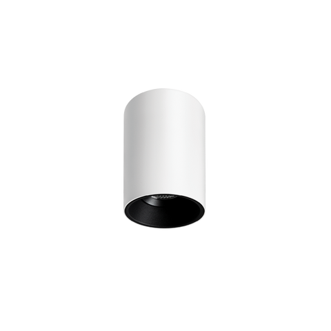 Titanium Surface Mounted Downlight