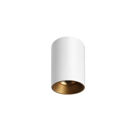 Titanium Surface Mounted Downlight